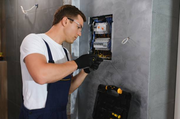 Best Electrician for Home Renovation  in Woodville, WI